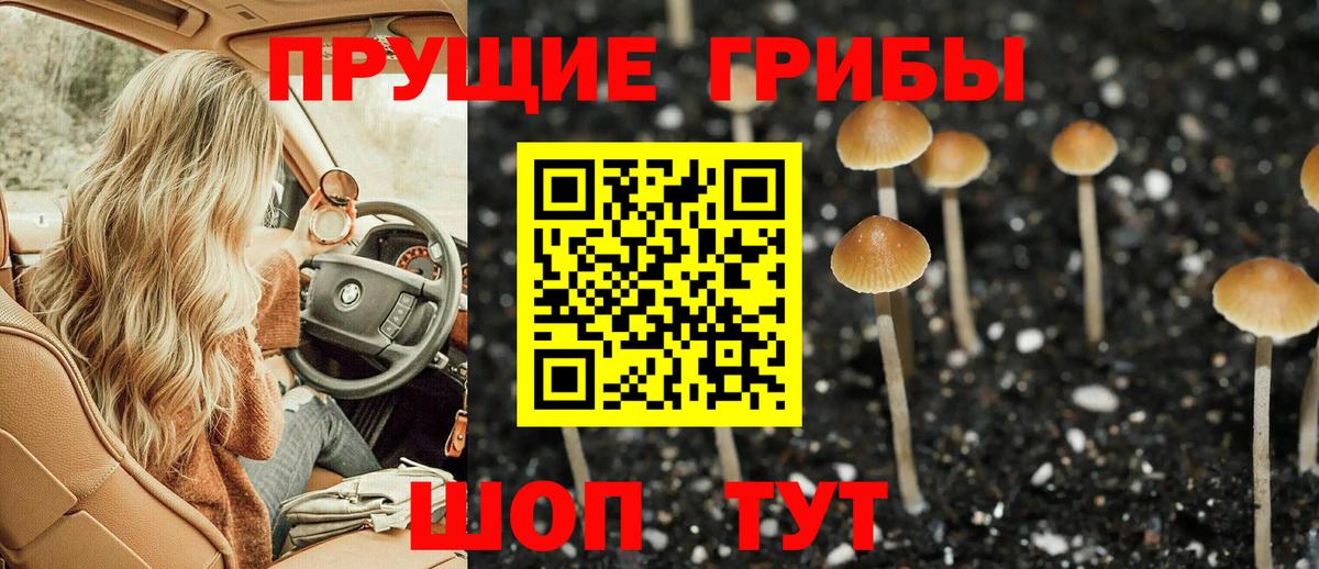 Галлюциногенные грибы MAGIC MUSHROOMS Янаул