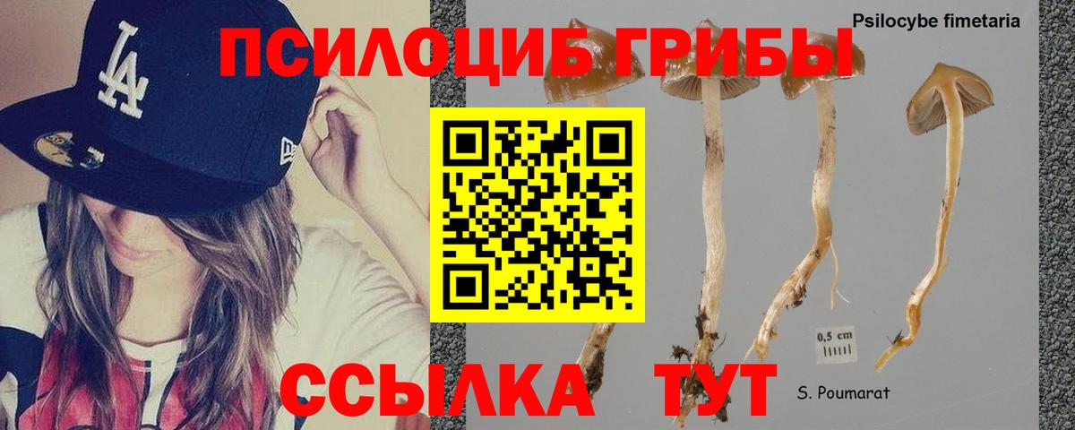 хочу наркоту  Псилоцибиновые грибы мицелий  Вход с VPN  Янаул 